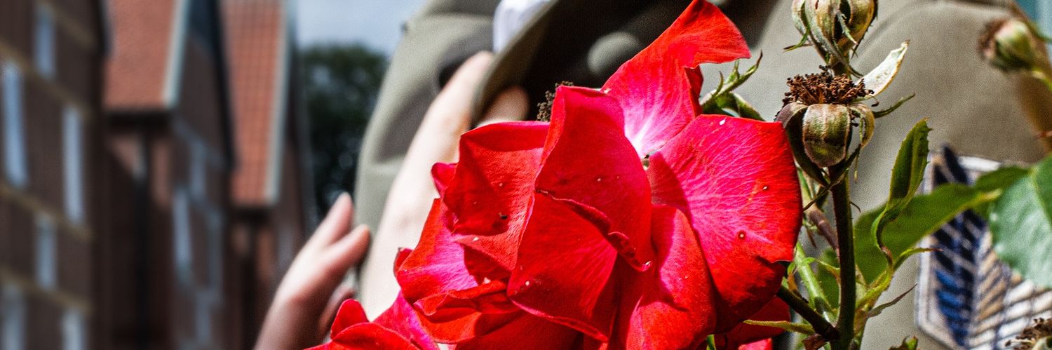 cosmozaec's profile banner image