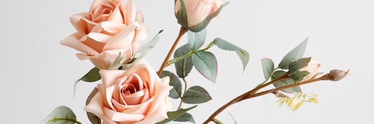 xsmcee's profile banner image