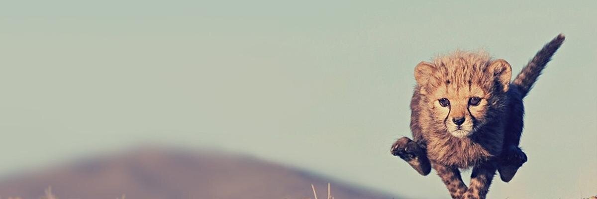 Егорова Лилия banner