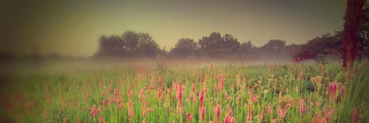 centralyogis's profile banner image