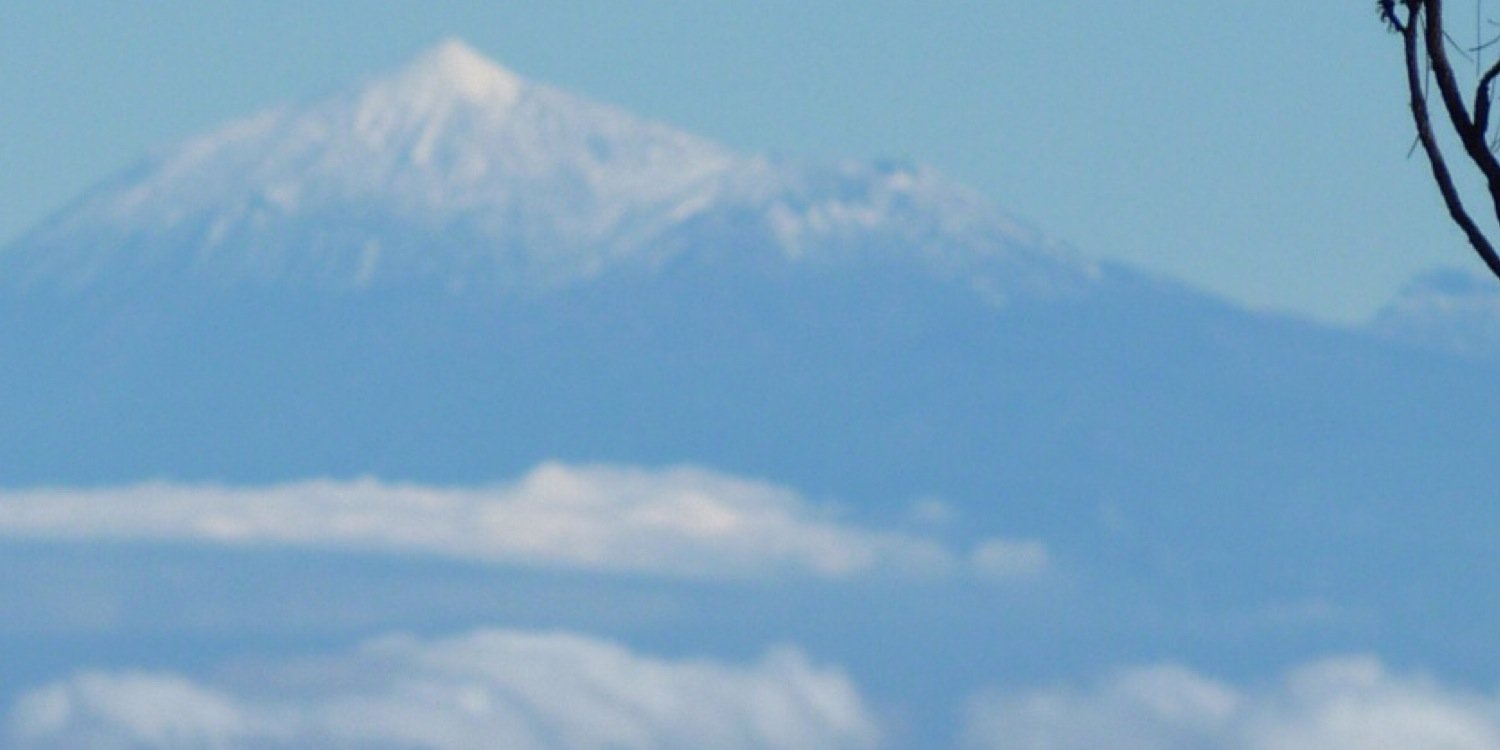 mncarson's profile banner image