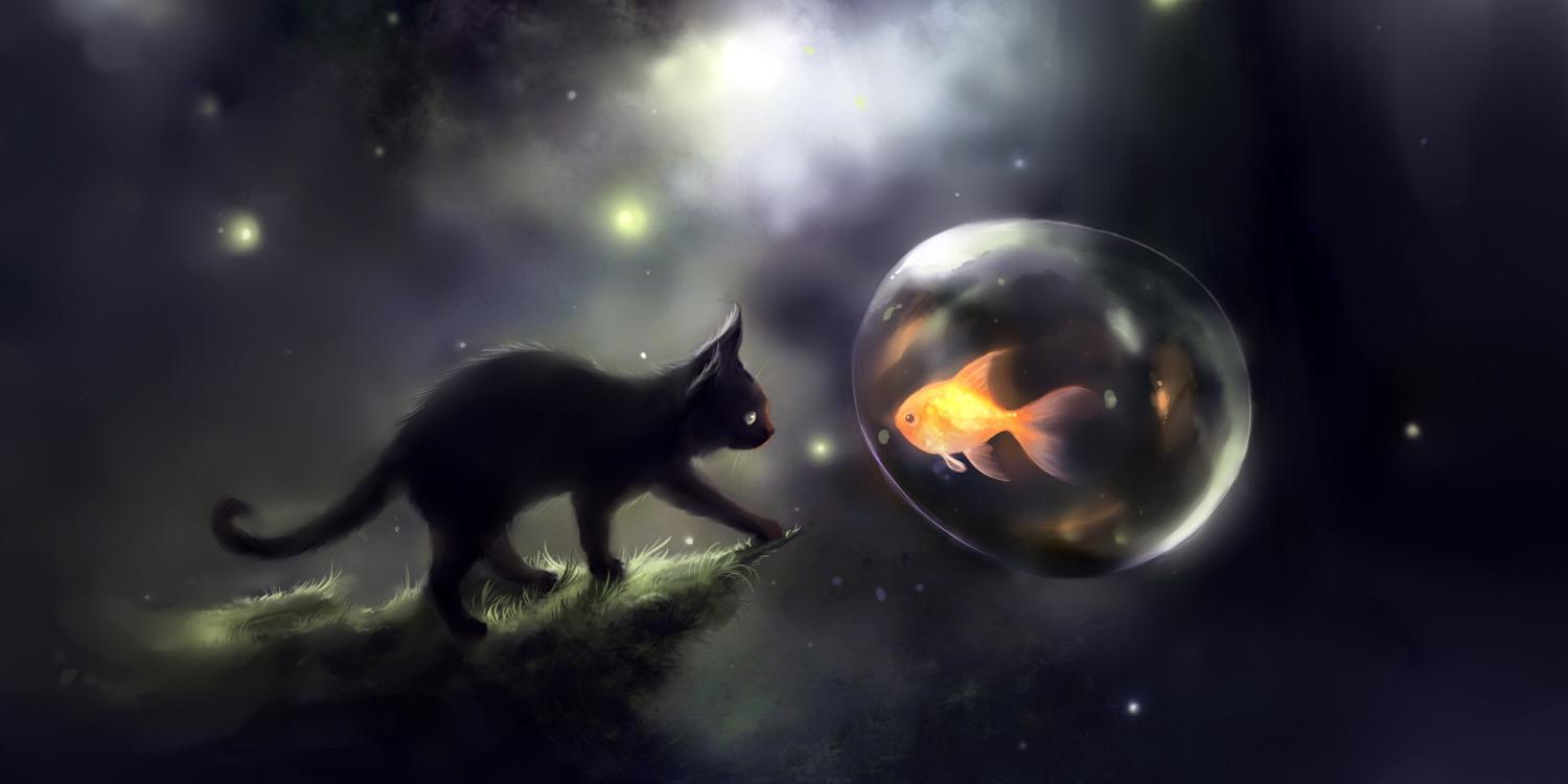 ETripDUB's profile banner image