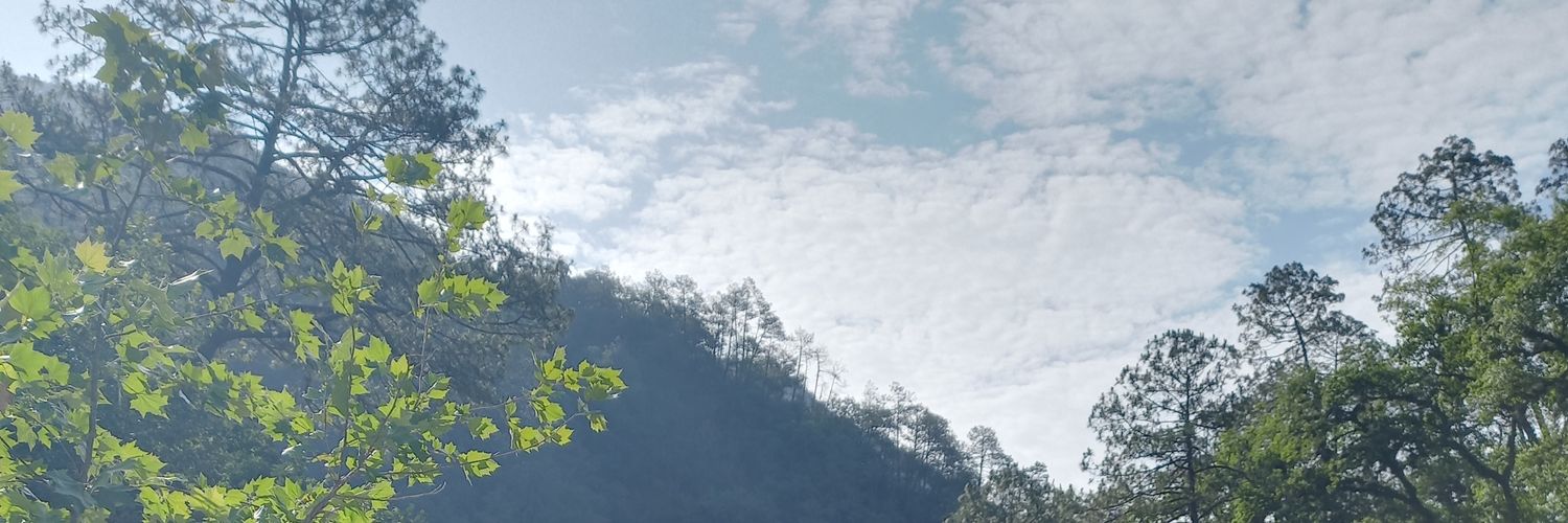 ectorST's profile banner image