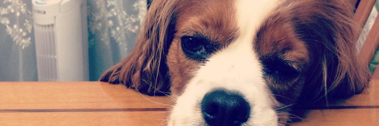 toppogi__'s profile banner image