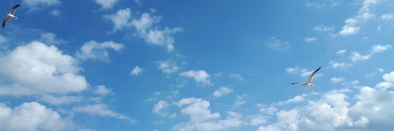 Stefany_eb's profile banner image