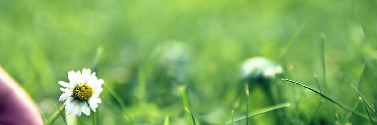Семенов Александр banner