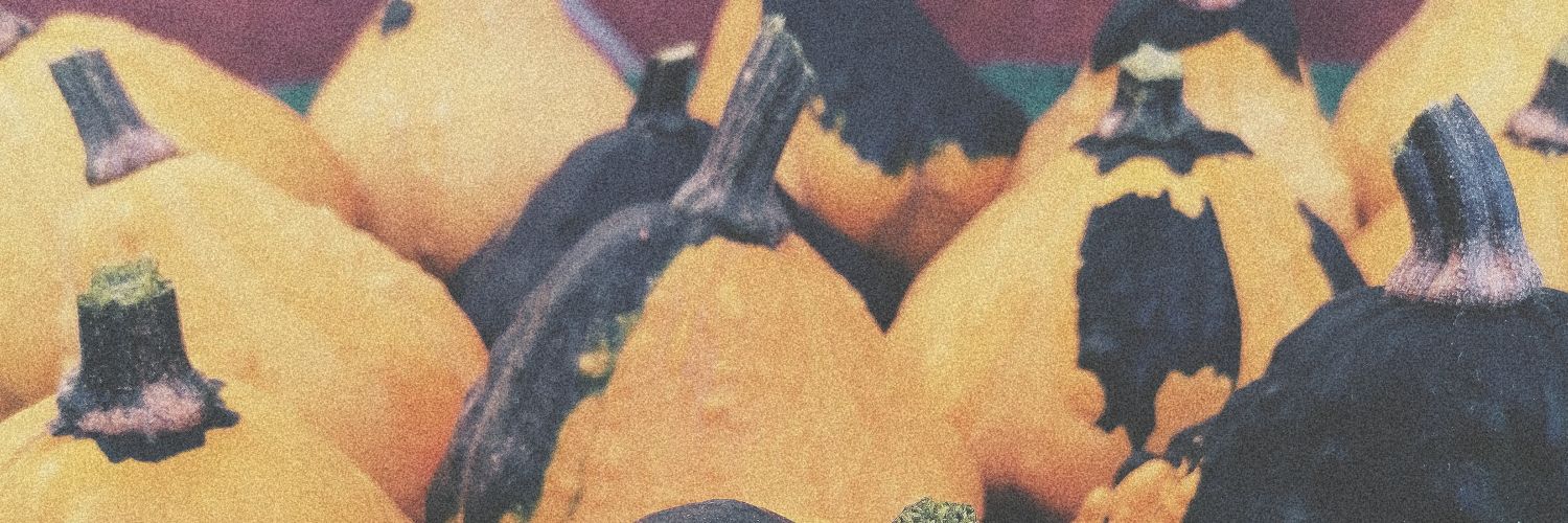 PatriziaLR's profile banner image