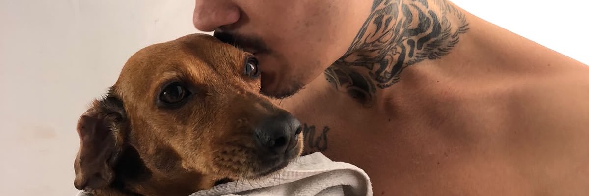 mareagomes's profile banner image