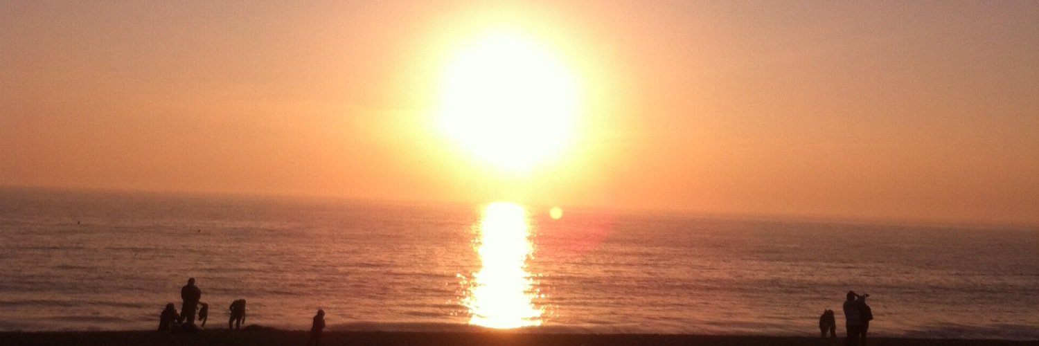 Carla Martínez Apablaza banner