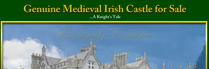 Kinnitty Castle banner