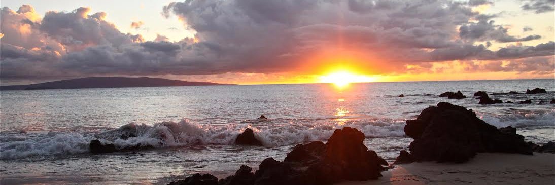 Rebecca Becker banner