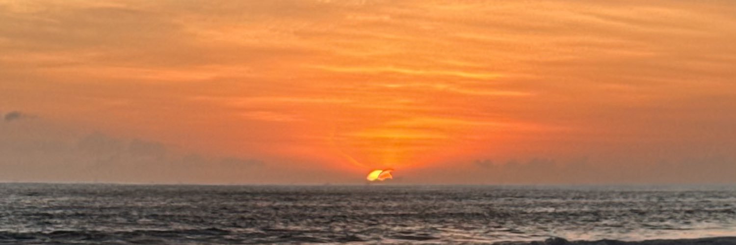 mlsskt's profile banner image