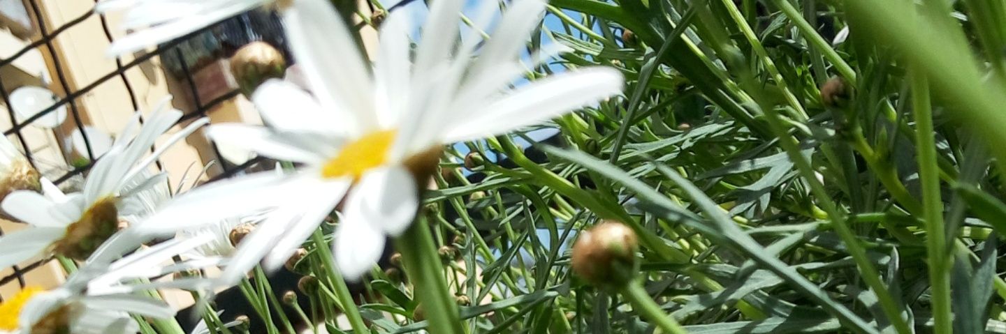 loriana1230's profile banner image