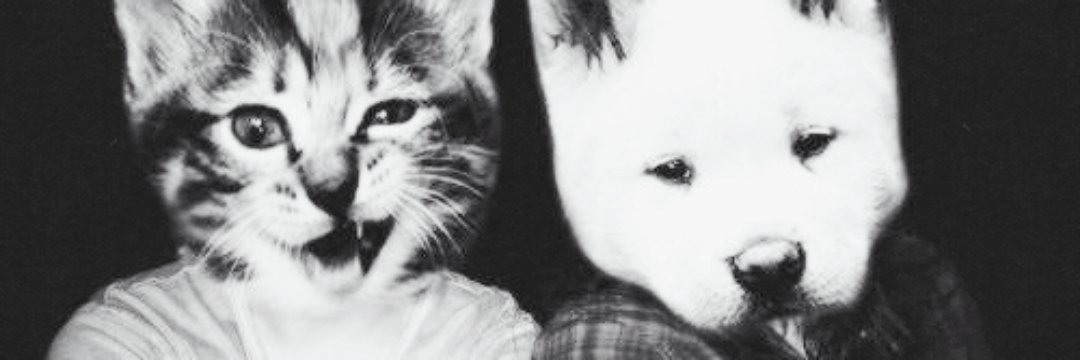 KenJenLVRP's profile banner image