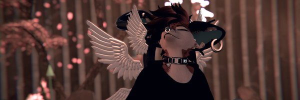 kalitapaws Profile Banner