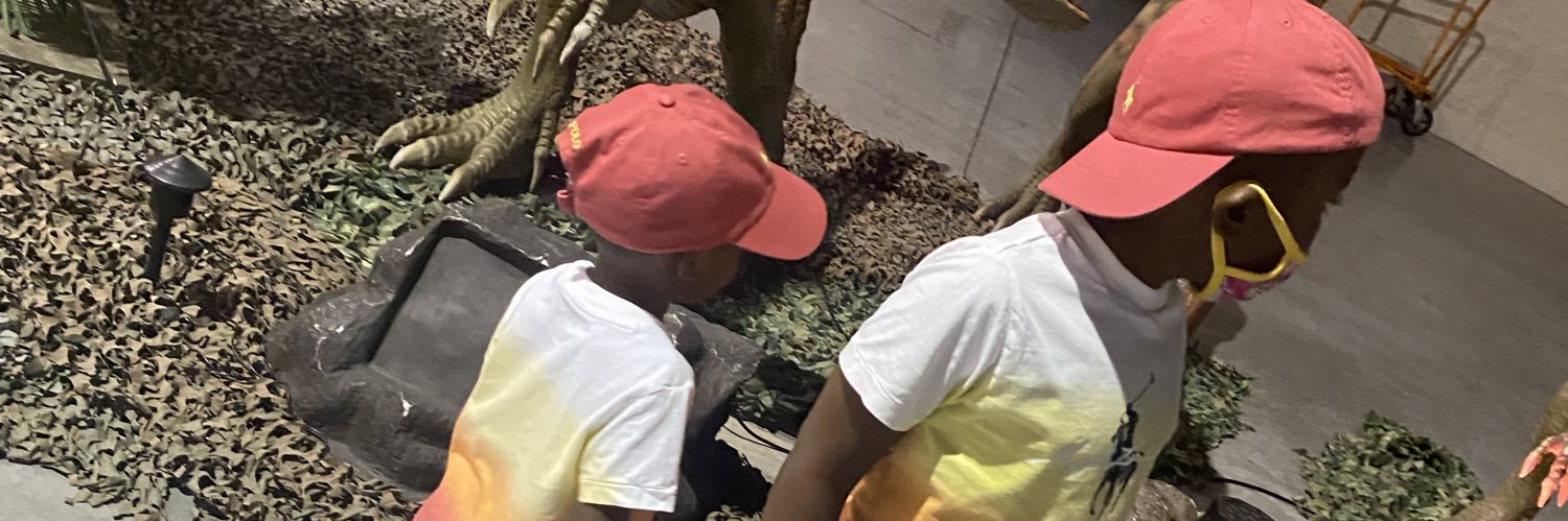 bigdimplesss's profile banner image