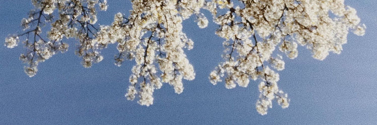 bribrammer's profile banner image