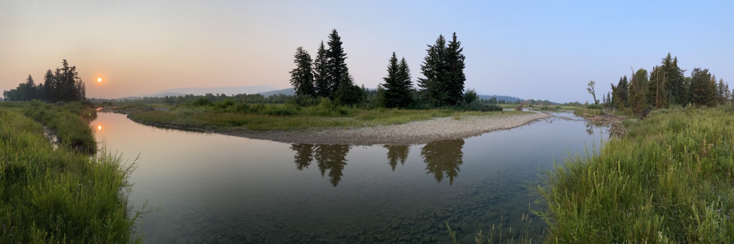 Jennifer DeSantis banner