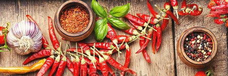 elizabeth's 🌶️Spicy Kitchen banner