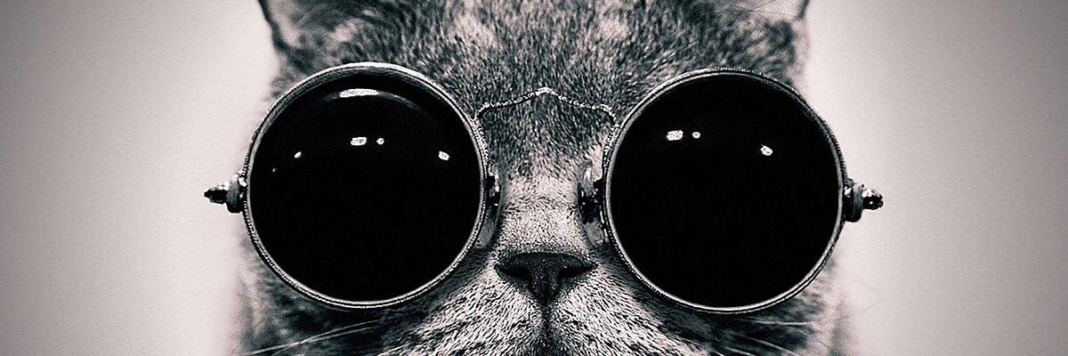 Руднев Владимир banner