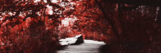 HStylesBI's profile banner image
