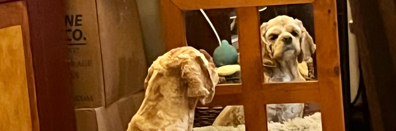 Joanne Barrett banner