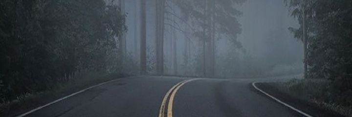 dragon21746219's profile banner image
