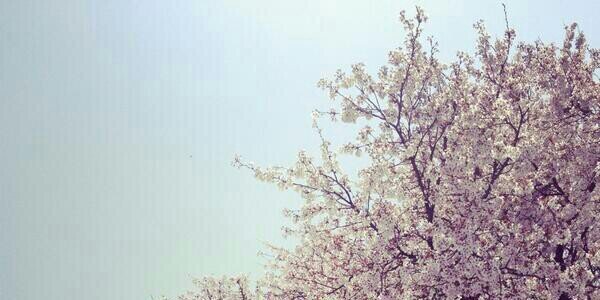 ATukO__'s profile banner image