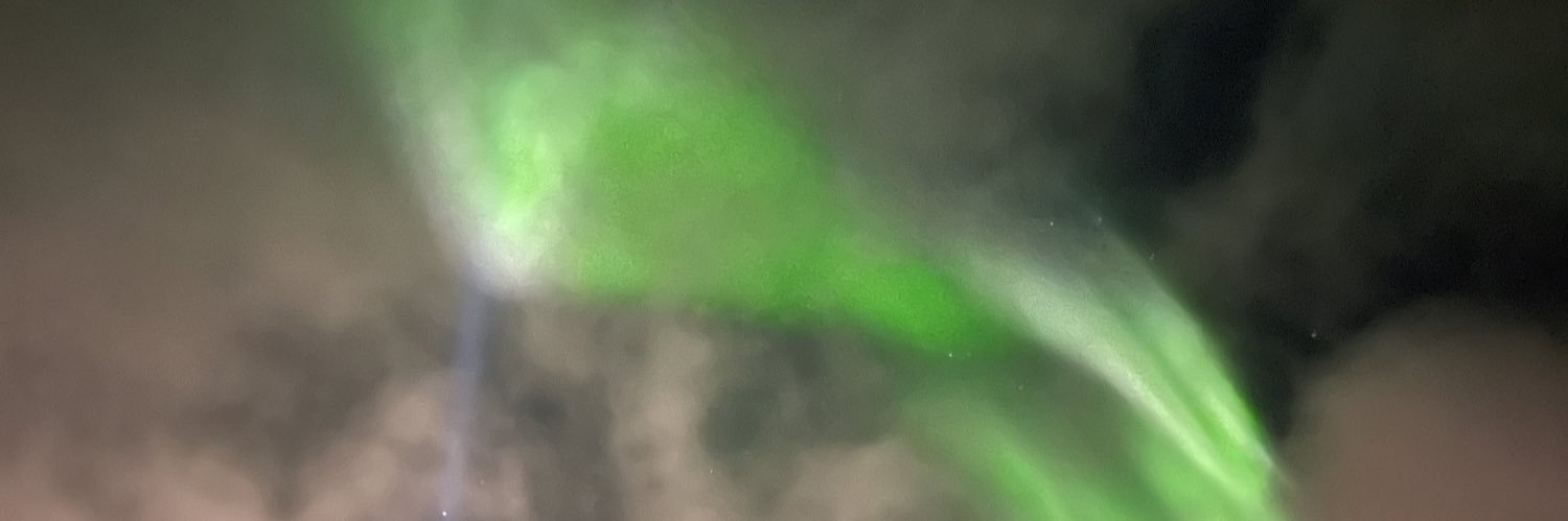 BridgeBrookelyn's profile banner image