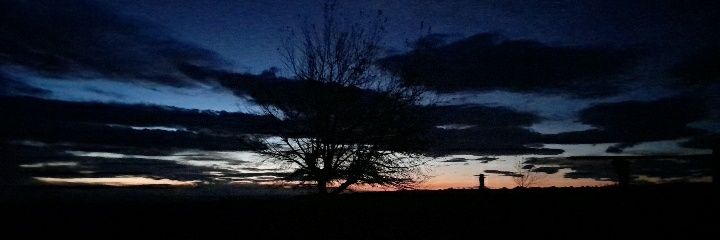 omarvera1303's profile banner image