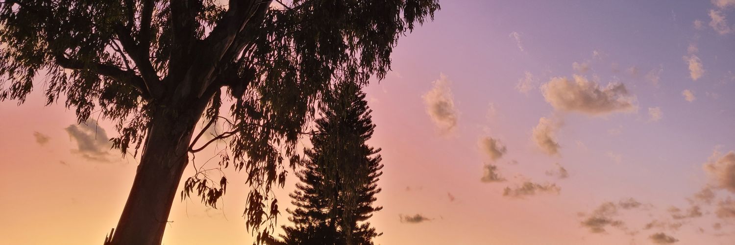 dr_wez's profile banner image
