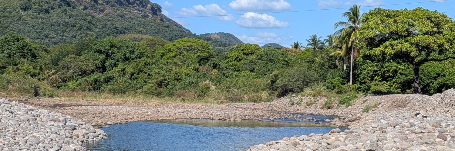 Paul Rowan Brian banner