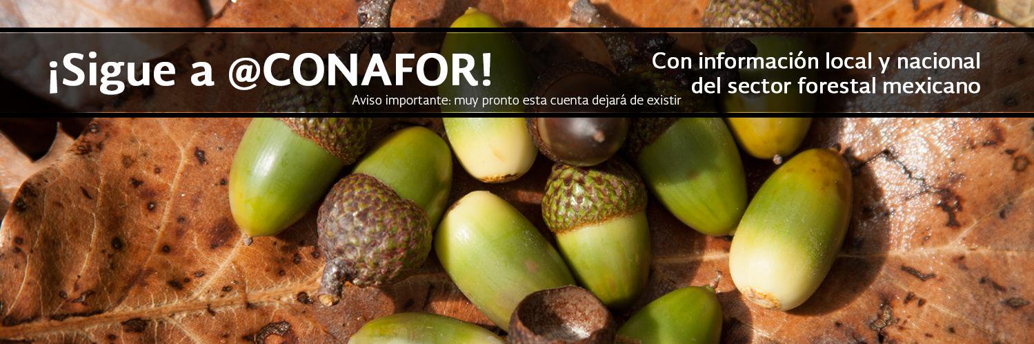Conafor Ags banner