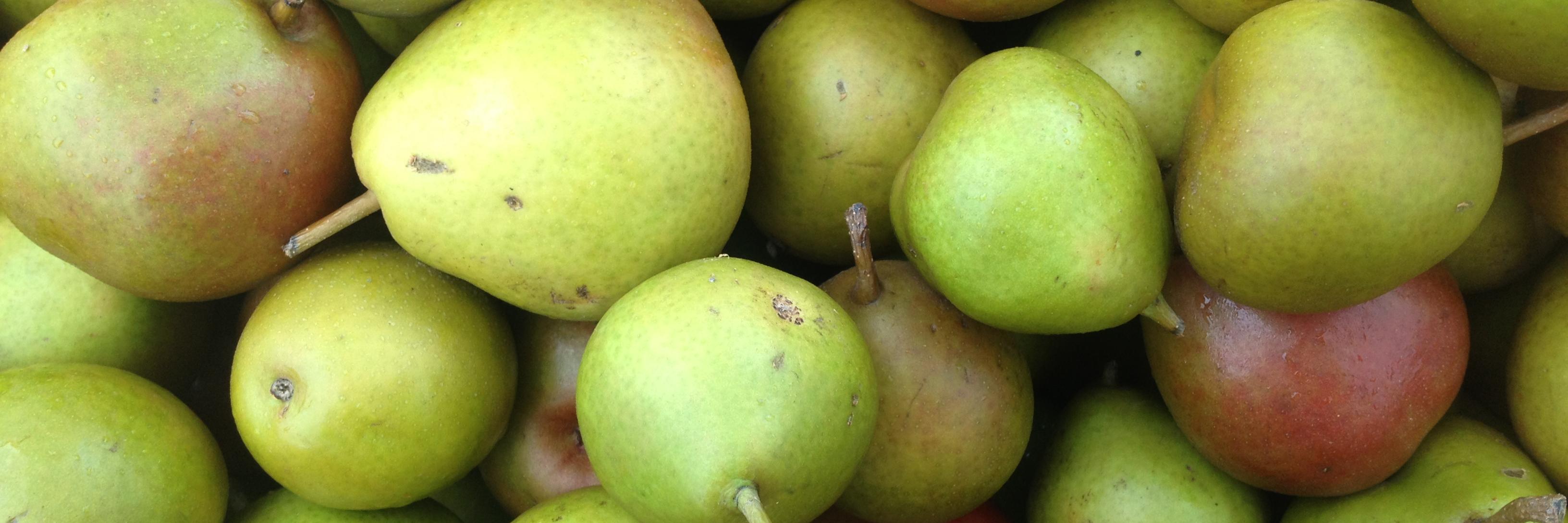 LocalFoodieRD's profile banner image
