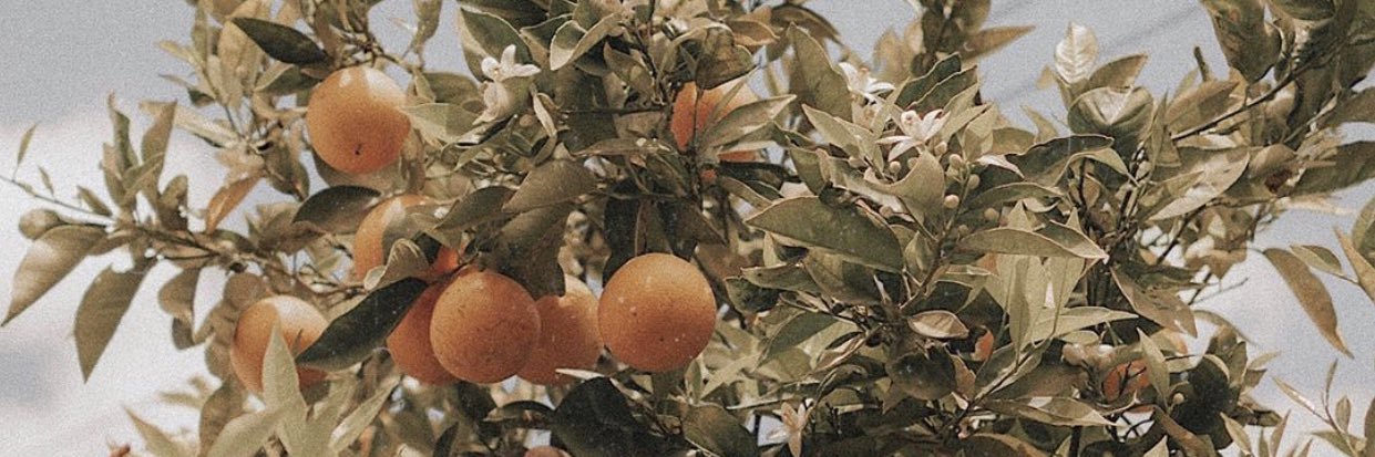 markieyager's profile banner image