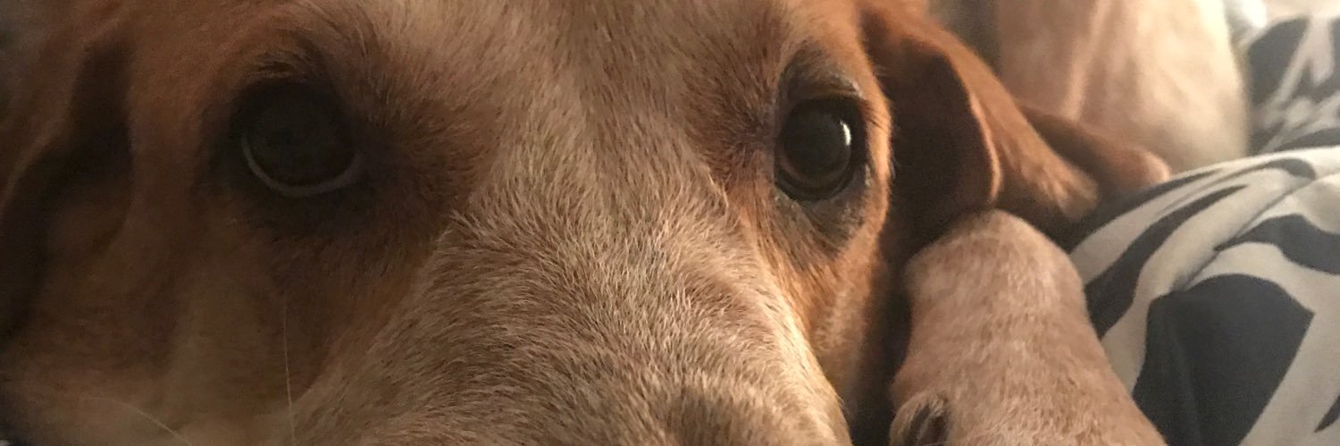 pushindeezz's profile banner image