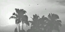 Aym_LP's profile banner image