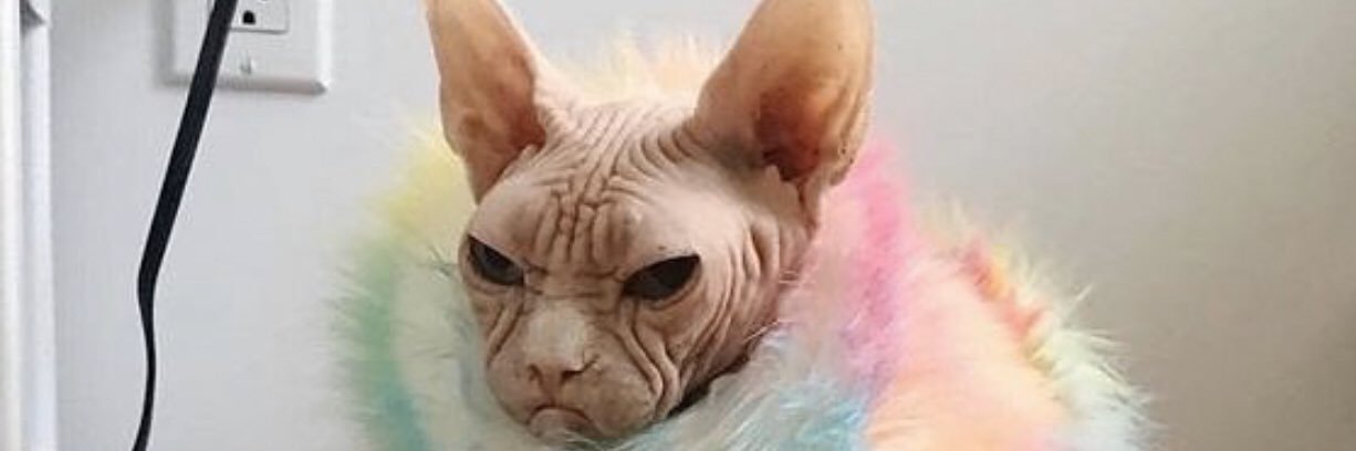 DymondEmily's profile banner image