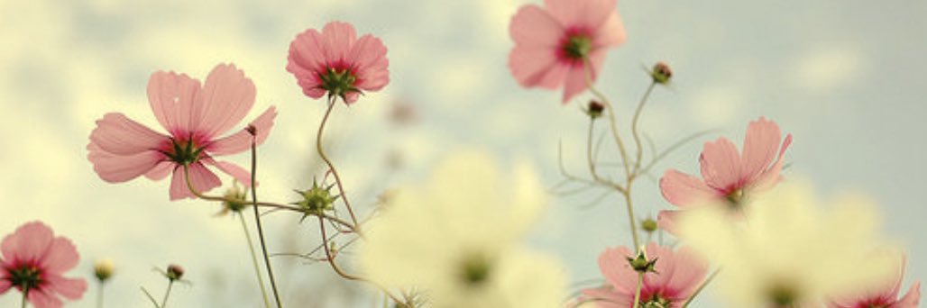 melakaqtpie's profile banner image