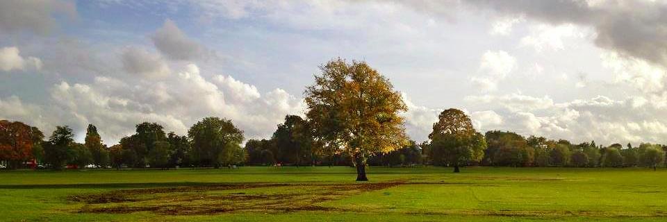 Nikita (Dyer) Miller banner