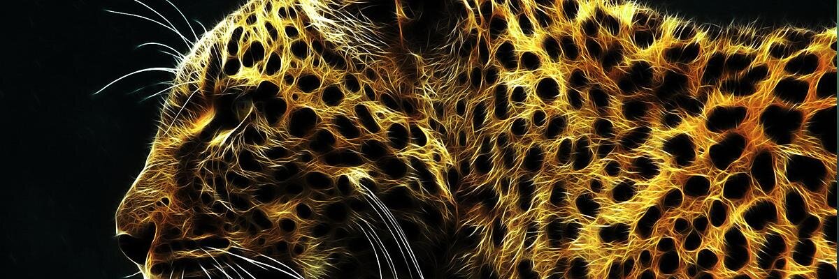 Фролов Константин banner