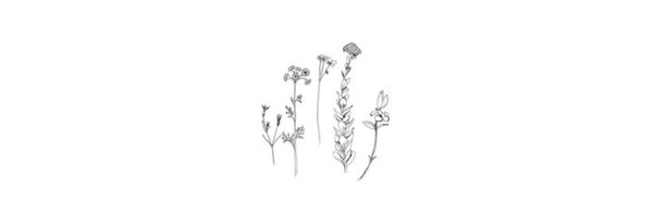 endlesswavess Profile Banner