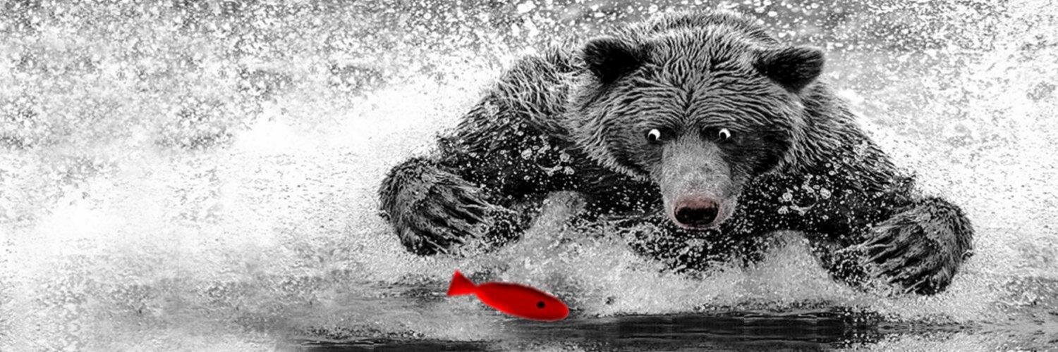 bearverse's profile banner image