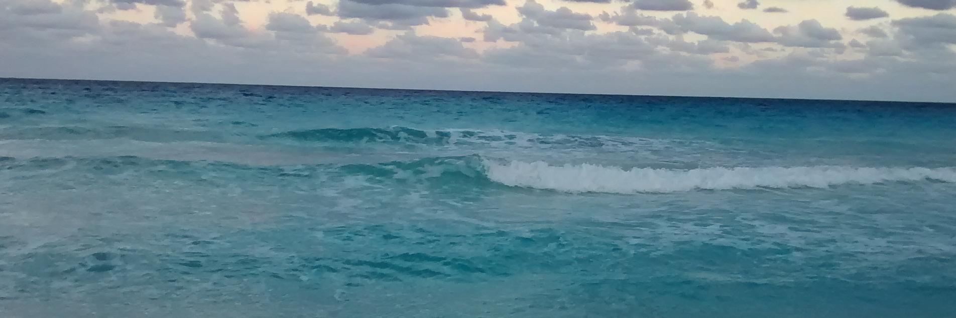 aleexishz's profile banner image