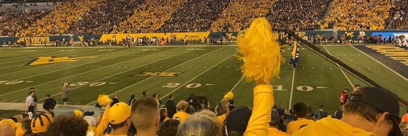 B. Long banner