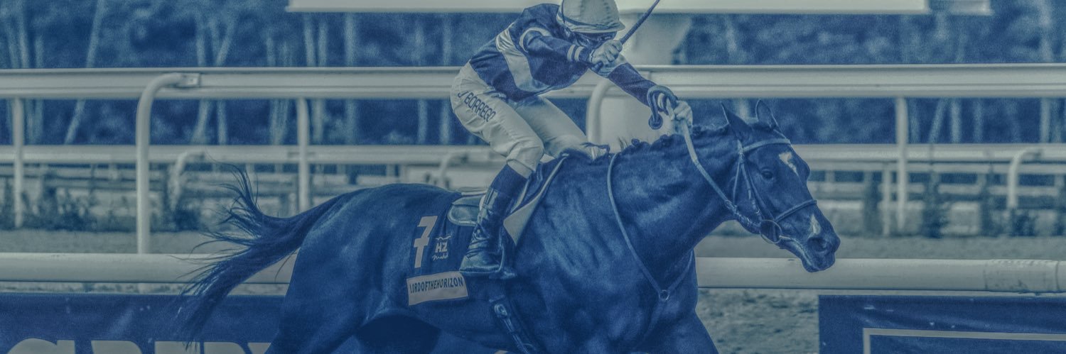 StaminaTurf's profile banner image