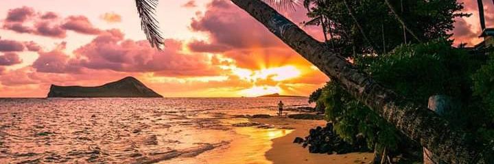 Maximecollette's profile banner image