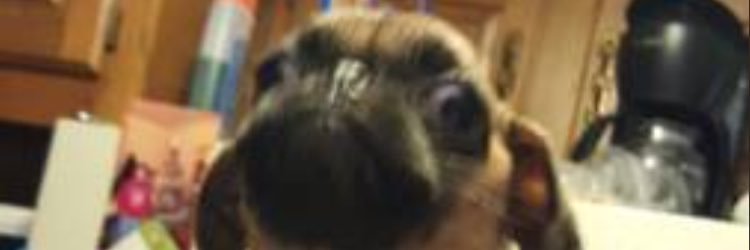 jamesfeary's profile banner image