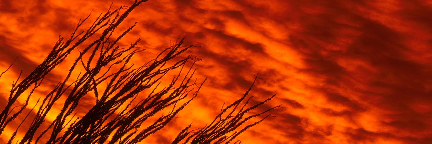 Elisabeth KublerRoss on Twitter: "Happy 90th birthday to Elisabeth