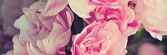 mcgrittss's profile banner image